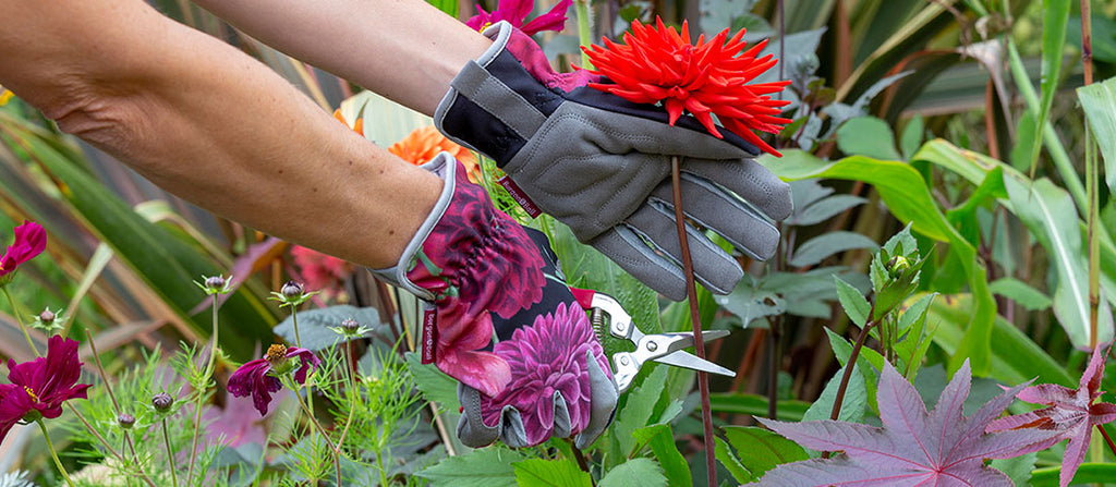 British Bloom: A New RHS Gardening Gift Collection | Burgon & Ball ...