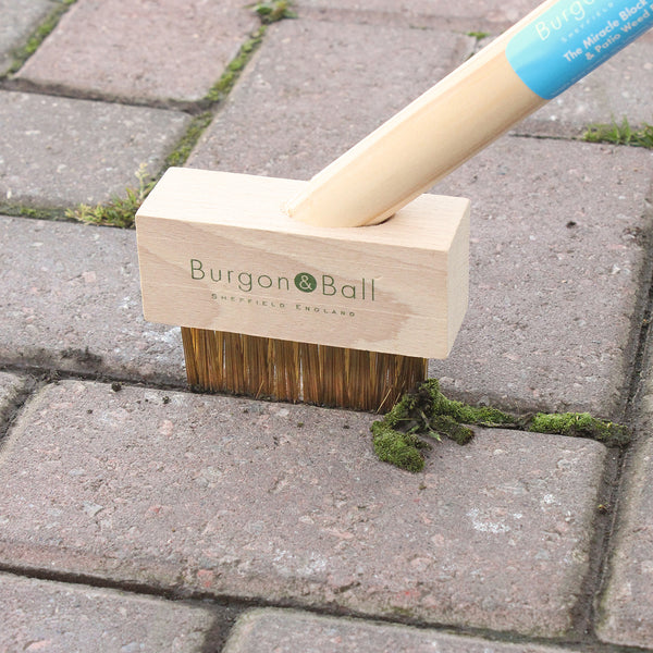 PATIO WEED BRUSH + SPARE HEAD