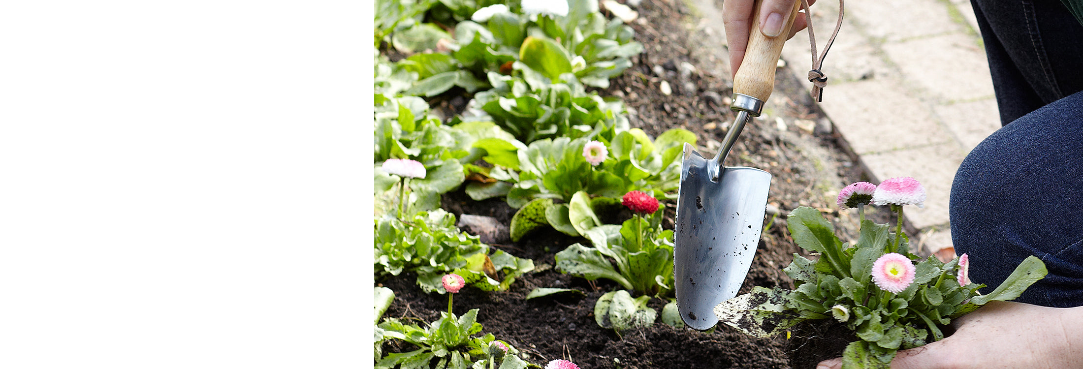 Trade Hand Trowels & Planting Tools