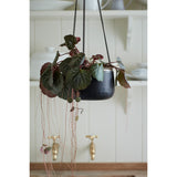 Sahara Sunset metal hanging plant pot, medium, by Burgon & Ball