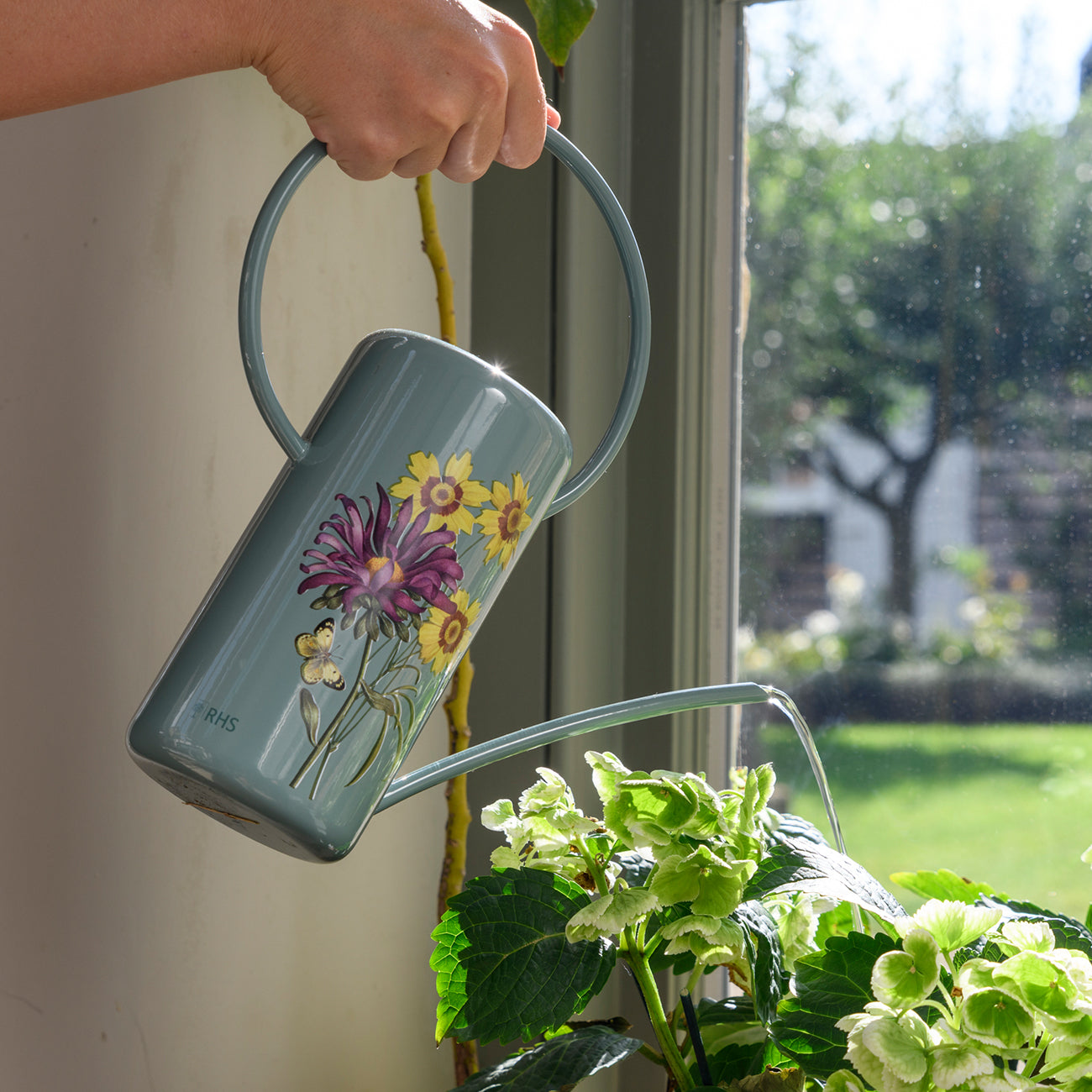 Asteraceae Watering Can | RHS Gifts For Gardeners | Burgon & Ball ...