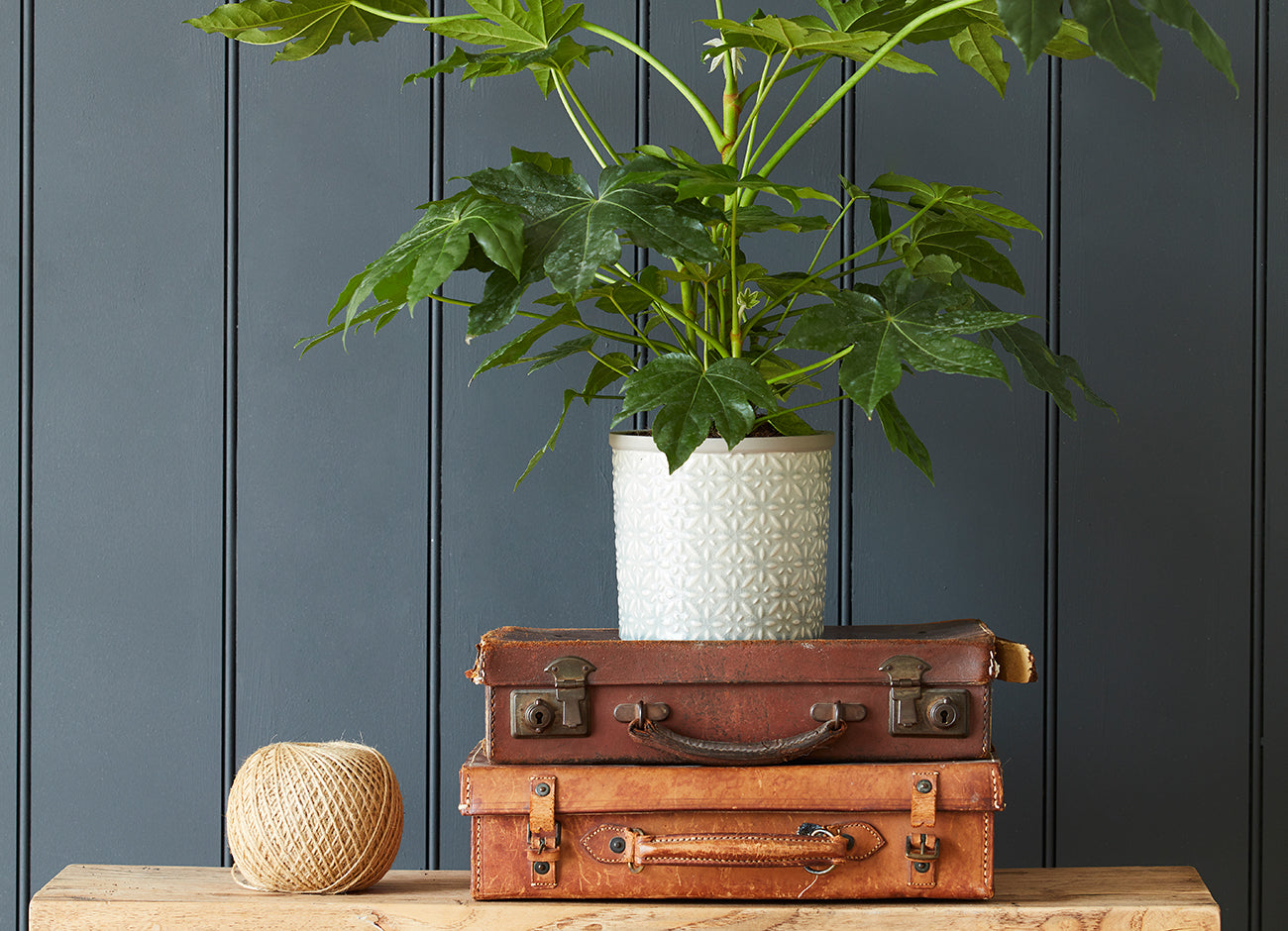 Indoor gardening