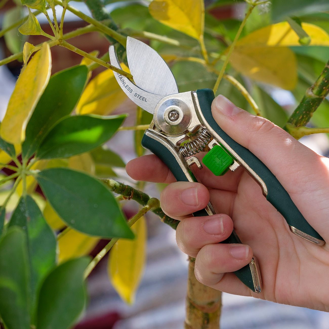 Houseplant Pruner | Burgon & Ball – Burgon And Ball